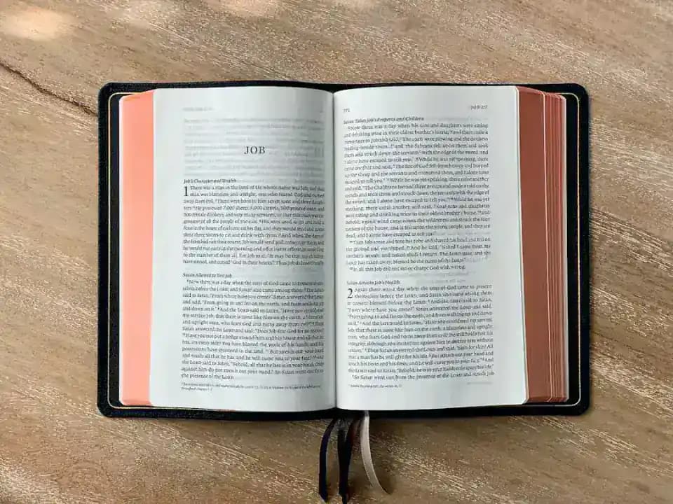 Bijbel in Gewone Taal: Wat Is het en Voor Wie?