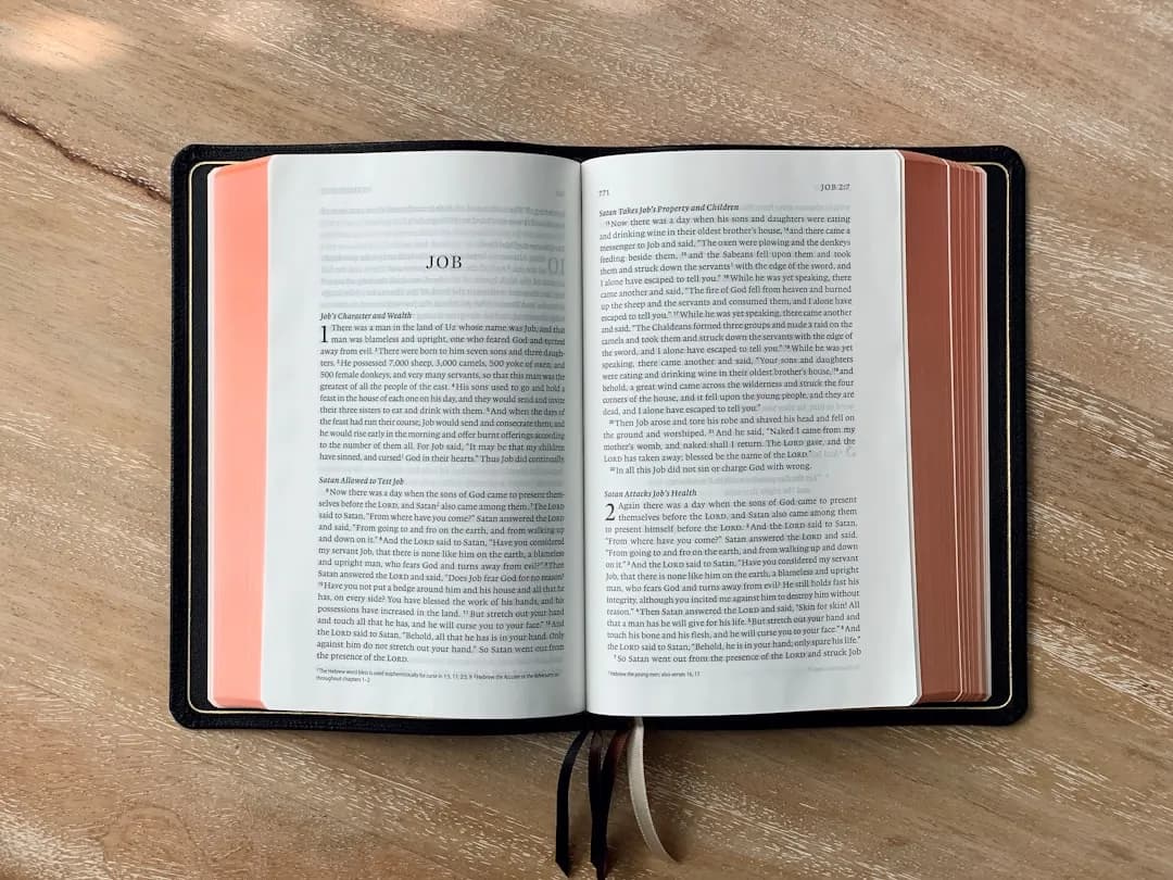 Uitgelichte afbeelding bij: Bijbel in Gewone Taal: Wat Is het en Voor Wie?