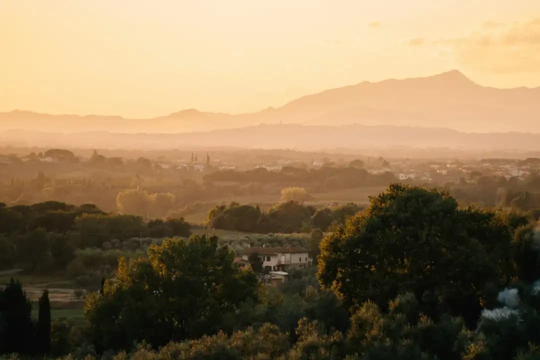Gouden zonsondergang over heuvels met olijfbomen - dagelijks bijbel leesplan
