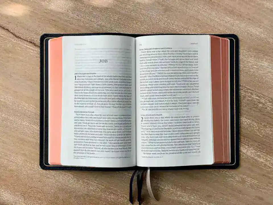 Bijbel in Gewone Taal: Wat Is het en Voor Wie?