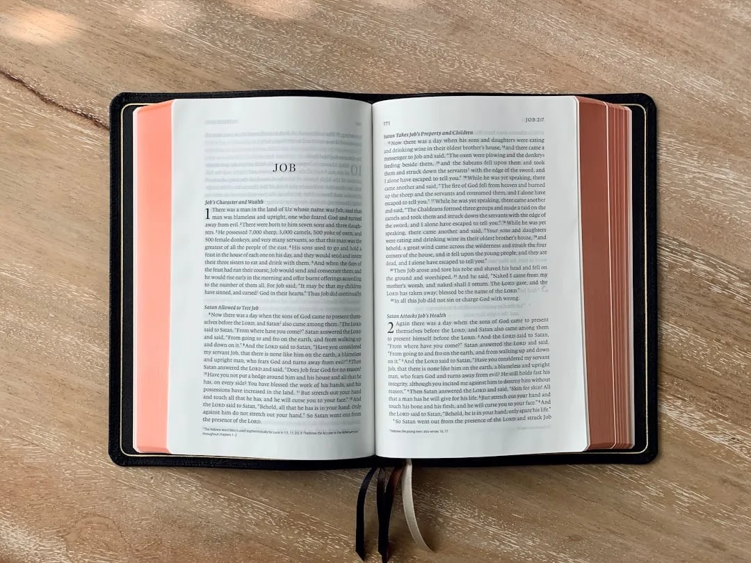 Uitgelichte afbeelding bij: Bijbel in Gewone Taal: Wat Is het en Voor Wie?