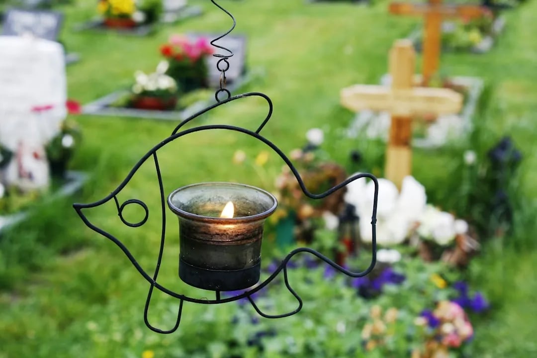 Uitgelichte afbeelding bij: Hoe ga je als christen om met verlies en rouw?