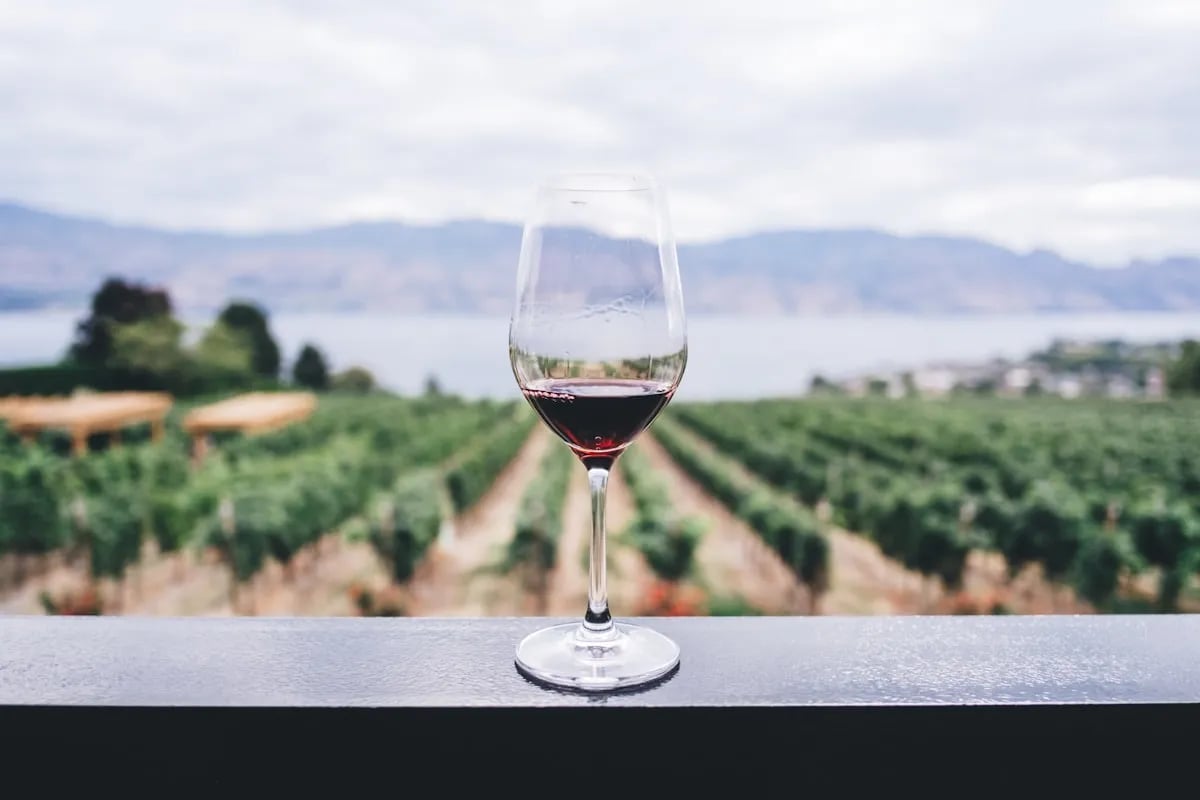 Wat zegt de Bijbel over alcohol en drank?